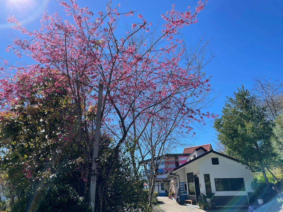 Julie'S Garden, Cingjing - Fon Chin Homestay 런아이 외부 사진