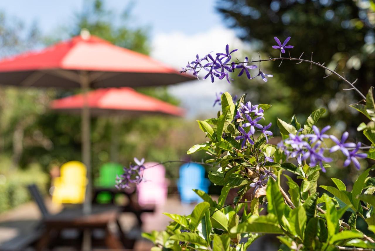 Julie'S Garden, Cingjing - Fon Chin Homestay 런아이 외부 사진